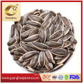 Best Quality 2021 Sunflower Seeds